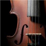Profesor aplicado de violín para cualquier nivel bajo y medio