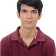 Estudiante universitario con alto dominio del idioma (inglés), ofrece clases online, para niños y adolescentes.