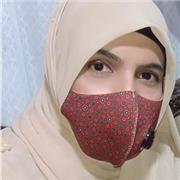 Hydrocarbons : Alkanes, Alkenes and Alkynes. Physical and chemical Properties