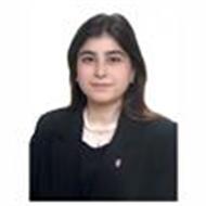 Irem Dogaç