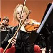 Docente di violino offre lezioni su misura per ogni livello ed età