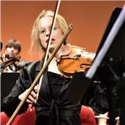 Docente di violino certificata Metodo Suzuki offre lezioni per ogni livello ed età