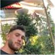 Özgür