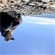 Especialista en comunicación hablo varios idiomas en este caso me postulo para profesora de español e inglés