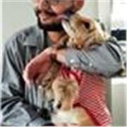 Profesor de matemáticas o programación para todas las edades