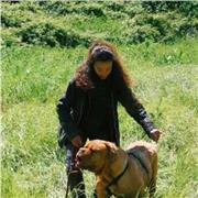 Educatrice cinofila con esperienza decennale, insegno nella zona di Firenze, Chianti/Valdarno e Livorno, anche online.