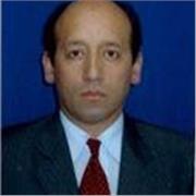 Español, inglés, literatura, escritura científica y escritura creativa. Estrategias pedagógicas y didácticas basada en la Teoría d