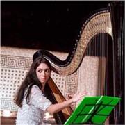 Diplomata al Conservatorio, insegno arpa classica e celtica per tutti i livelli