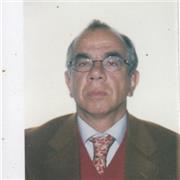 ingegnere ex insegnante matematica e fisica scuole medie superiori liceo scientifico