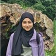 English Tutor teaches GCSE English Language and Literature