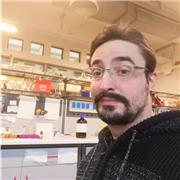 Si impartiscono lezioni private anche in modalità a distanza