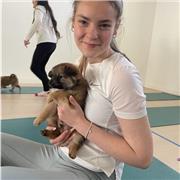 Science tutor for GCSE students and below