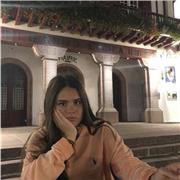 Soutien scolaire primaire, college, lycée en français, anglais, matières des arts, italien, mathématiques