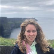 Insegnante di matematica, fisica, analisi, elettrotecnica, chimica e meccanica