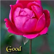 Naeem Islam