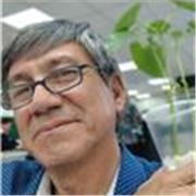 Docente de matemáticas para secundaria y adultos