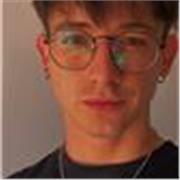 Profesor de ingles, niveles básico e intermedio, escolar o particular
