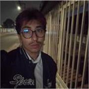 Soy estudiante de lenguas con fuerte experiencia en ingles y portugués