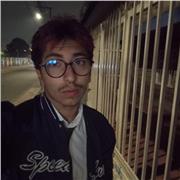 Soy estudiante de lenguas con fuerte experiencia en ingles y portugués