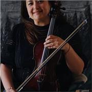 Doy clases particulares a Nivel de cada Alumno