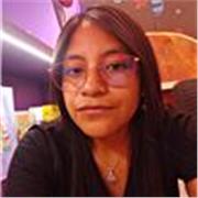 Profesor de apoyo en lengua castellana, áreas de lectura, escritura y comunicación