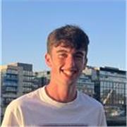 Tuteur donne des cours de soutien scolaire en anglais et aide aux devoirs pour primaire et secondaire