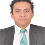 maestro de ingles TEFL para instituto via online