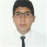 PROFESOR DE APOYO ESCOLAR (INGLES,MATEMATICA,CIENCIAS)