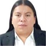 Clases particulares en línea, trabajo por las TIC'S