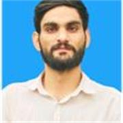 Mathematics teacher in English language up-to 12th grade.