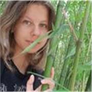 Cours de soutien scolaire, aide aux devoires