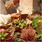 Experiencia personal como madre y profesional como educadora casi 20años,educadora infantil de vocación y proactiva 