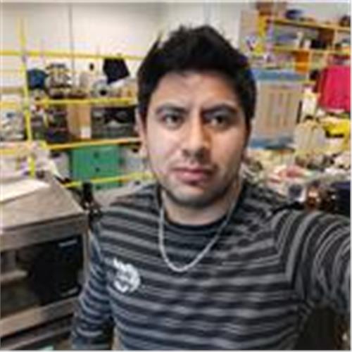 user photo