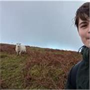 welsh tutor that wants to teach welsh second language