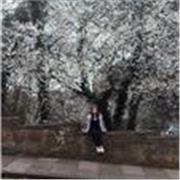 I give private or group lessons tailored to your level