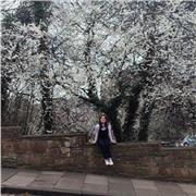 I give private or group lessons tailored to your level