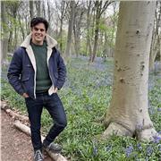 Twenty years experience as a writer of English