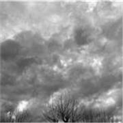 Con mi frase: “ Si lo crees, créalo…porque Arte-Sana”