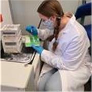 MSc Biochem & Biophysics. In-person Tutoring for English, Math and Science from Ks to As and Beyond