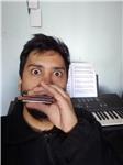 Clases de armónica y teoría musical en córdoba capital (online y presencial)