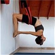 Meditación y Flores de Bach