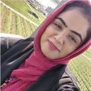 Erfahrener Nachhilflehrerin für informatik