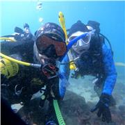 Instructor internacional PADI...clases de buceo, snorkeling y natacion