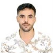 N.Hamza