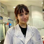 Biomedicine UCL graduate teaching GCSE and A level Biology in London