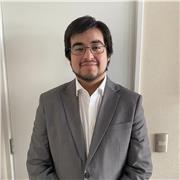 Clases de estadística y/o hacer análisis estadístico de TESIS