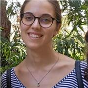 Ripetizioni online – Aiuto compiti medie e superiori