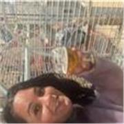 Profesor de Español como segundo o tercer idioma