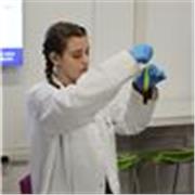 Studentessa universitaria di Chimica offre lezioni online e sostegno per lo studio.