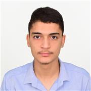 Maîtrisez l'Arabe : Cours Innovants pour Tous Niveaux
